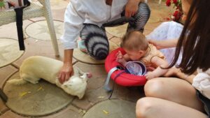 Terasa Amvrosia in vara cu pandemia