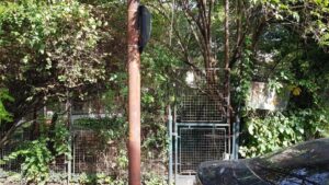 Bucurestiul vachi pe la Biserica Popa Rusu