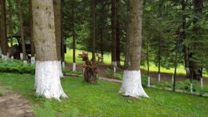Restaurant traditional Coliba Haiducilor in Poiana Brasov