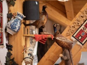 Restaurant traditional Coliba Haiducilor in Poiana Brasov