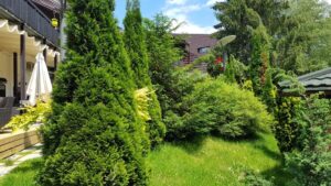 Terasa Apropos si Gradina Forest de la Hotelul Alpin