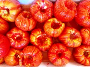 Oana Coanta - Rosiile, la Athanor