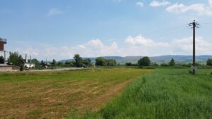 Restaurantul pescaresc Corabia Doripesco