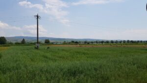 Restaurantul pescaresc Corabia Doripesco