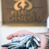 L’Atelier Relais & Chateaux - Food for Change