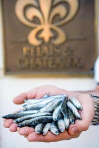 L’Atelier Relais & Chateaux - Food for Change