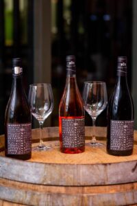 Lansarea Vinului Muzeului Taranului by Villa VINEA