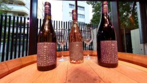 Lansarea Vinului Muzeului Taranului by Villa VINEA