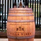 Lansarea Vinului Muzeului Taranului by Villa VINEA