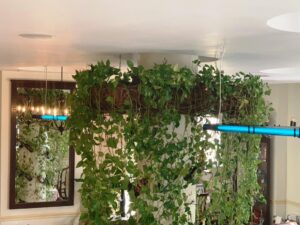 Aparate cu UV in restaurantul Il Destino din Bucuresti