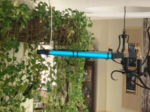 Aparate cu UV in restaurantul Il Destino din Bucuresti