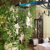 Aparate cu UV in restaurantul Il Destino din Bucuresti