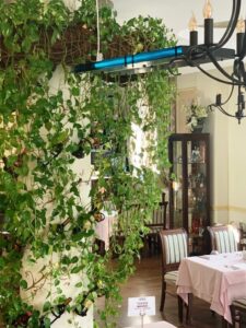 Aparate cu UV in restaurantul Il Destino din Bucuresti