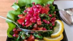 Ahmad Cuisine, restaurant arabesc in Clucerului