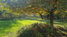 Domeniul Manasia, Chef Phursang Lama