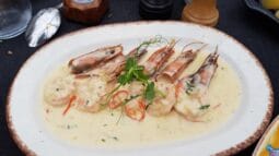 Meniu aniversar Mesogios 20 de ani