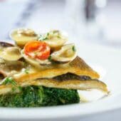 Oliveto by Caelia