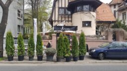 Sapiens, cafenea minuscula pe Calea Dorobantilor