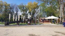 Terasa Ancora in Oltenita