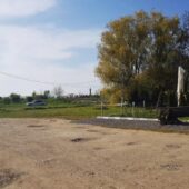 Terasa Ancora in Oltenita