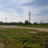 Terasa Ancora in Oltenita