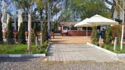 Terasa Ancora in Oltenita