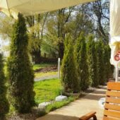 Terasa Ancora in Oltenita