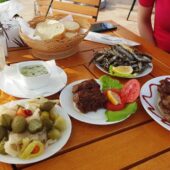 Terasa Ancora in Oltenita