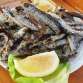 Terasa Ancora in Oltenita