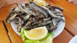 Terasa Ancora in Oltenita