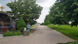 Primarul Dinei Petre din Belciugatele