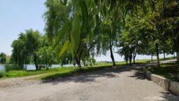 Primarul Dinei Petre din Belciugatele