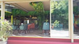 Noma, restaurant international la Parcul Herastrau