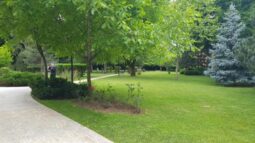 Parcul si gradinile Crowne Plaza Bucuresti