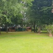 Parcul si gradinile Crowne Plaza Bucuresti