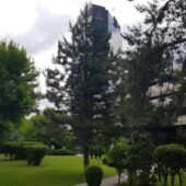 Parcul si gradinile Crowne Plaza Bucuresti