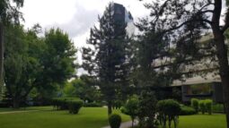 Parcul si gradinile Crowne Plaza Bucuresti