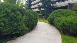 Parcul si gradinile Crowne Plaza Bucuresti