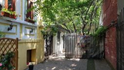 Rare House, restaurant pe Schitu Darvari