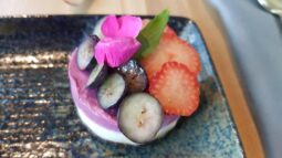 Samsara, restaurant vegetarian si vegan in Bucuresti