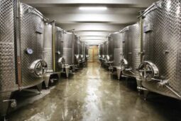 Domeniul Aristitei de la Valea Calugareasca si crama