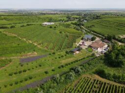 Domeniul Aristitei de la Valea Calugareasca si crama