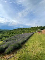 Domeniul Aristitei de la Valea Calugareasca si crama