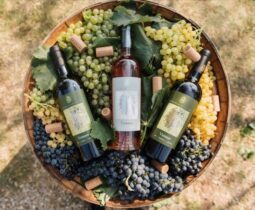 Domeniul Aristitei de la Valea Calugareasca si crama