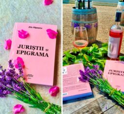 Domeniul Aristitei de la Valea Calugareasca si crama