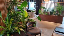 Fork Ana Tower, restaurant panoramic