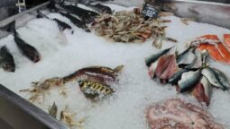 Georges Fisheries, magazin de peste George Gaitan