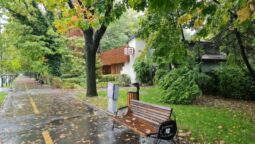 HARE, restaurant in Parcul Herastrau