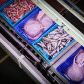 Pescaderia 90 de Minute