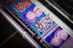 Pescaderia 90 de Minute